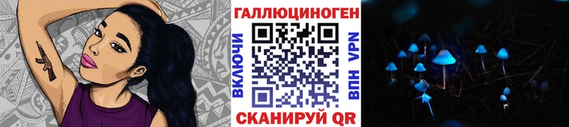 Псилоцибиновые грибы Cubensis  Выборг 