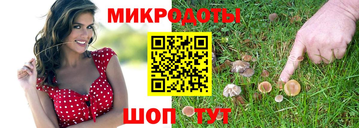 Псилоцибиновые грибы MAGIC MUSHROOMS Выборг