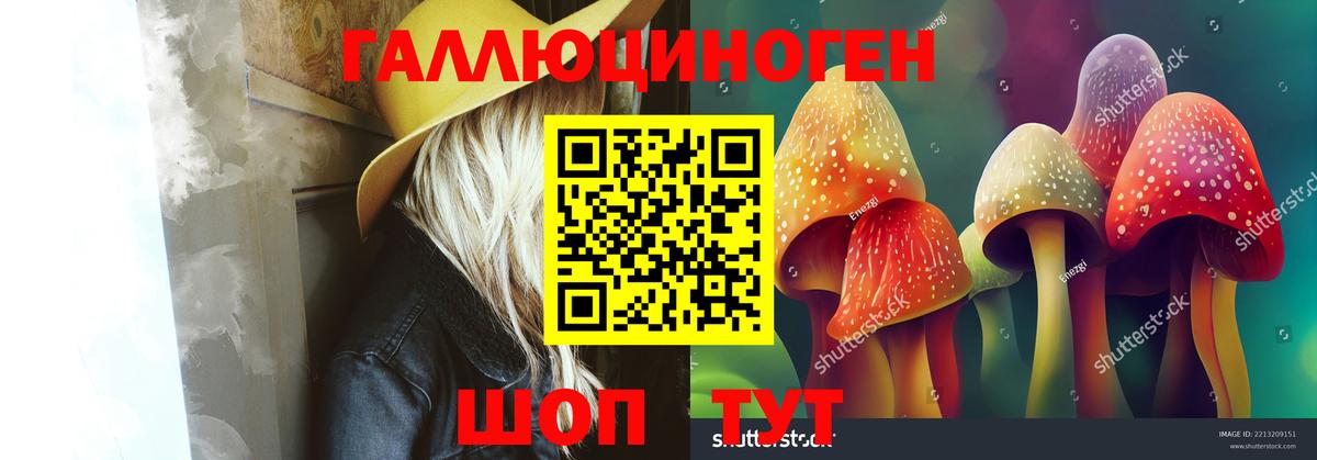Выборг  Псилоцибиновые грибы MAGIC MUSHROOMS  как найти закладки  Вход с VPN 