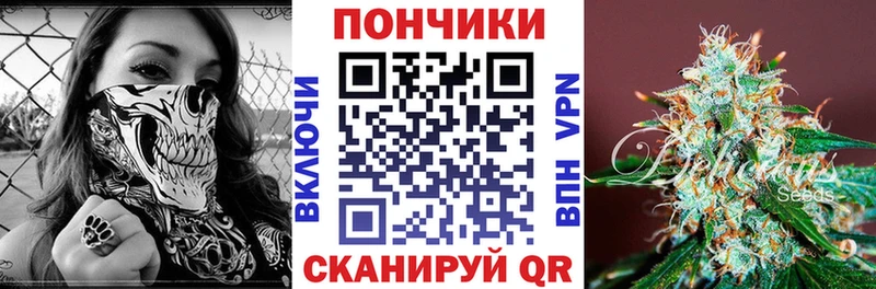 Каннабис VHQ  МЕГА   Выборг 