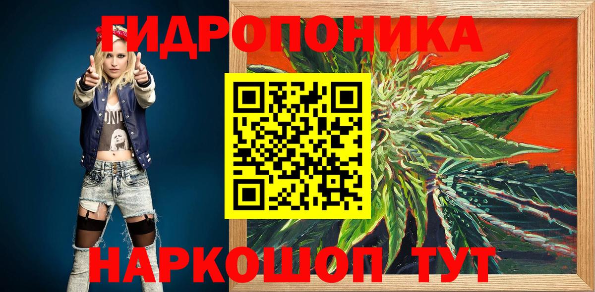 Марихуана Bruce Banner  Выборг  Марихуана White Widow  Марихуана ГИДРОПОН  Бошки Шишки план 